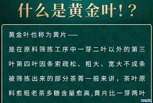 冰岛黄金叶茶叶功效，揭示冰岛黄金叶茶叶的神奇功效！