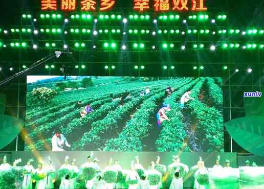 双江冰岛茶会，探寻双江冰岛茶会：一场别开生面的茶文化交流宴