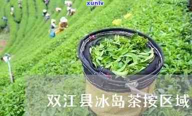 双江冰岛茶2020-双江冰岛茶荟带货主播是谁