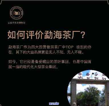 中茶勐海号：创号首发达人熟茶，探寻历悠久的茶厂与唛号