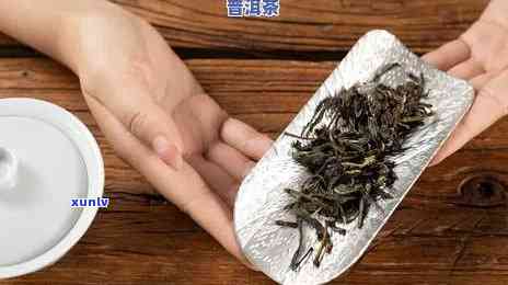 新茶叶怎么保存冬天，冬如何保存新茶叶？