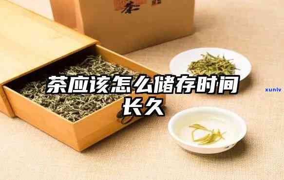 茶叶怎么保存长久？详细步骤教你科学存，茶叶新如初！