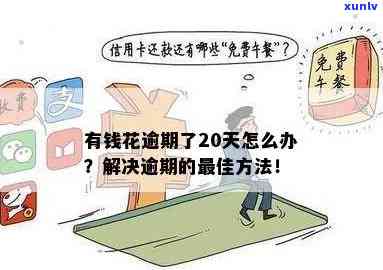 有钱花逾期不能再用？起因及解决办法全解析