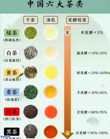 茶叶水能去油脂吗，茶叶水真的能去除皮肤油脂吗？科学解析与实证研究