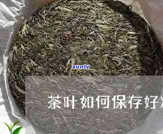 茶叶如何保存好？冷冻还是冷藏？详细解析茶叶存 *** 