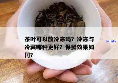 茶叶存 *** 茶叶放冷藏还是冷冻，茶叶应该冷藏还是冷冻保存？解析茶叶的存方式