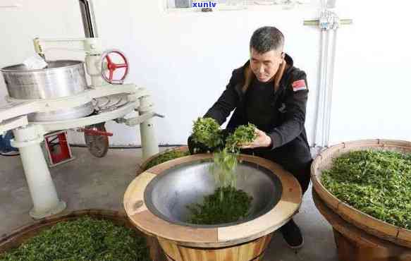 平西王府生态茶：从茶园到茶杯的全程探索，包含茶厂、茶叶、茶馆信息及联系方式。