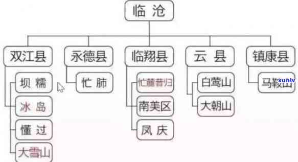 云南四大茶场：揭秘排名、名称及重要性