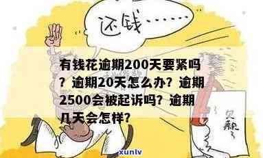 有钱花逾期200块：怎样解决与处罚？逾期200天严重吗？逾期5000元会被起诉吗？