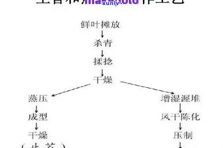 全面解析茶叶烘焙工艺：流程、好处与技术详解