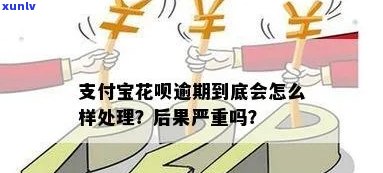 支付宝有钱花逾期解决：真的有效吗？会对支付宝的花呗、借呗产生作用吗？