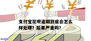 支付宝有钱花逾期处理-支付宝有钱花逾期处理要多久