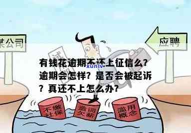 有钱花逾期多久需全额还款？作用采用、上、被起诉风险解析