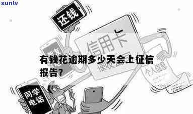 汕头普洱茶加盟店：优势、招商政策、投资费用等全方位解答