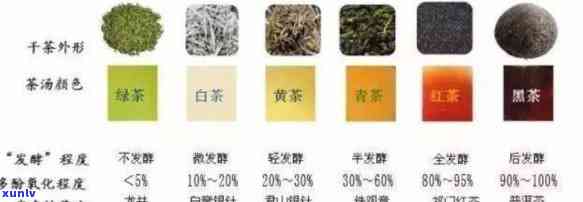 茶叶分为哪六大类？每一类型都有哪些代表茶叶？