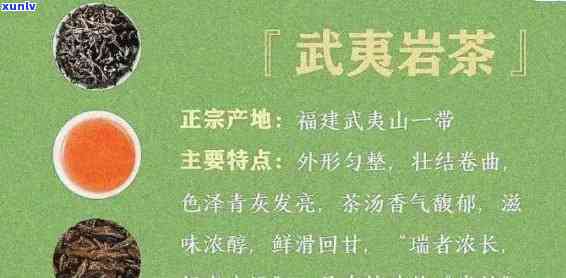 武夷山茗丛录，探秘中国茶文化：《武夷山茗丛录》解读