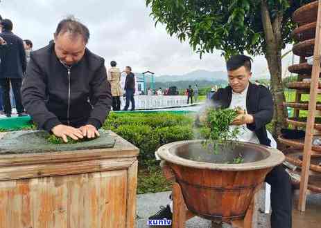 全面解析《场物语》茶叶：作用、获取方式、价格、种植节与收获 *** 