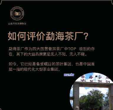 勐海班章茶厂官网，探访茶叶天堂：勐海班章茶厂官网带你深入了解普洱茶文化