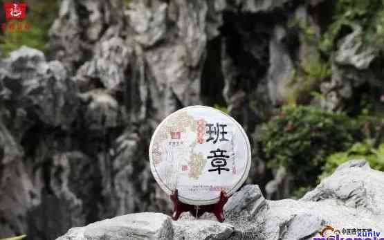 雀班章生态茶饼，品味雀班章：探索生态茶饼的美妙之旅