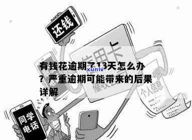 购买后江翡翠石料