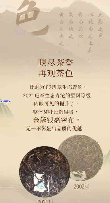 今大福2021班章生态沱茶开评测：醇厚滋味，回味无穷