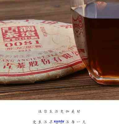 大红袍绿茶和普洱茶：哪个更适合你？比较两种茶的特点和优缺点