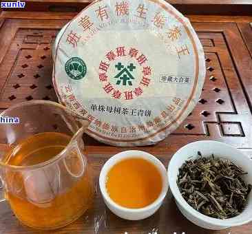 2004年班章茶王开：野生茶王的魅力与特性