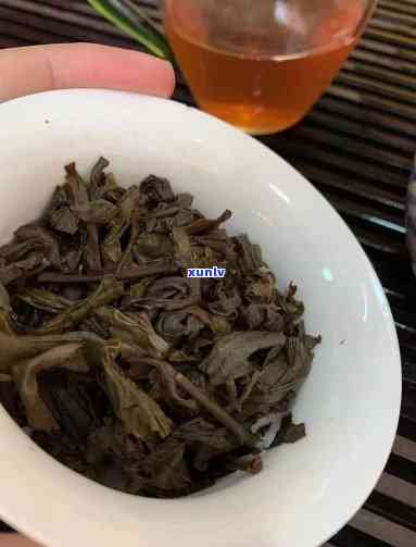 2004年班章茶王开：野生茶王的魅力与特性