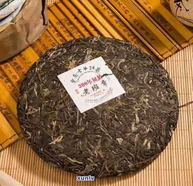 云南七子饼茶300年树龄老班章，探寻300年树龄老班章：云南七子饼茶的魅力所在