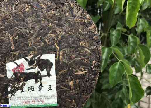 06兴海班章王熟茶，品鉴06兴海班章王熟茶：口感醇厚，香气独特