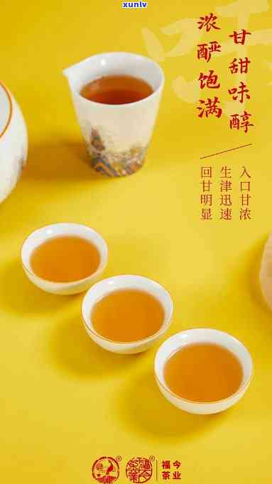 福今班章木生态沱茶：价格、砖茶与2021生态沱全面解析