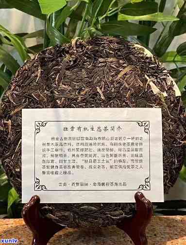 雀班章生态茶，探秘雀班章生态茶：品味云南特色名茶的无穷魅力