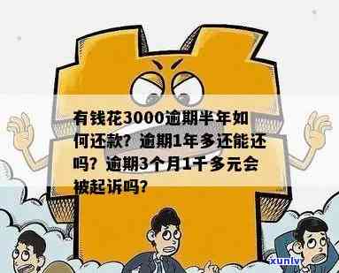 有钱花逾期3000一个月会否被起诉？