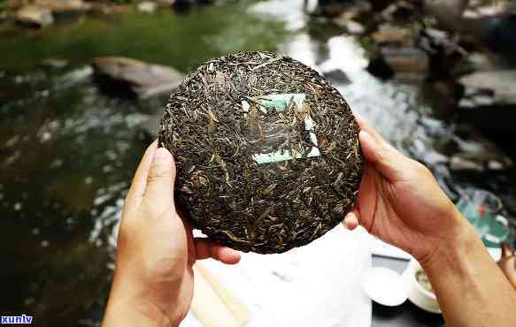 福海茶厂班章有机茶生普，品味生态之美：福海茶厂班章有机茶生普的独特风味