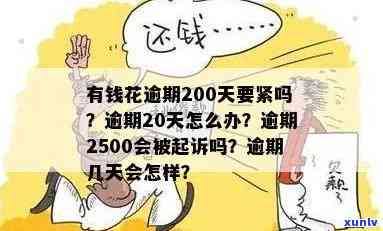 有钱花逾期200天要紧吗，逾期200天，有钱花会产生什么结果？