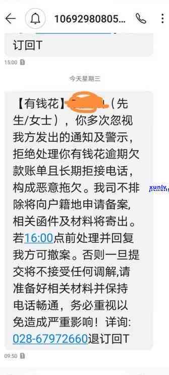 有钱花逾期5000元半年，可能面临起诉风险