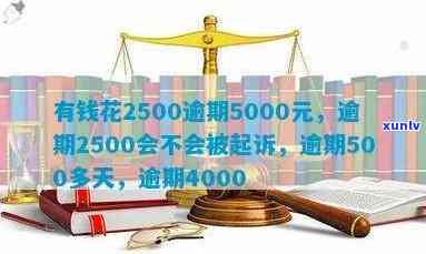 有钱花逾期5000元，警惕！逾期5000元可能带来的严重后果——有钱花案例分析