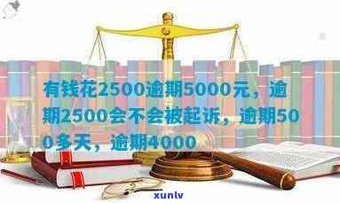 有钱花逾期2500会不会被起诉？从1500元到6000多元，起诉标准及作用解析