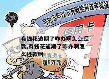 有钱花逾期5000元，警示：有钱花逾期5000元，作用信用记录，需尽快还款！