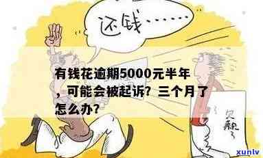 有钱花逾期5000元-有钱花逾期500多天