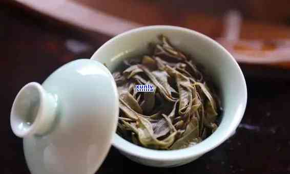 班章古树普洱茶怎么喝，品味古韵：班章古树普洱茶的正确冲泡与品尝 *** 