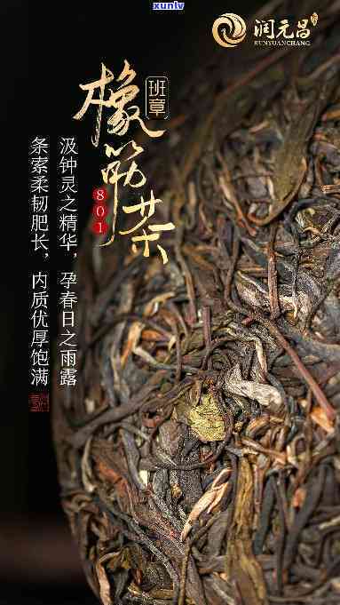 班章橡筋茶500年-班章橡筋茶2003历