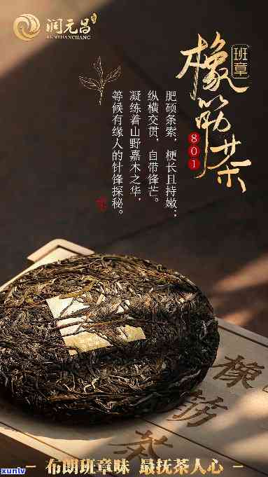 班章橡筋茶500年-班章橡筋茶2003历