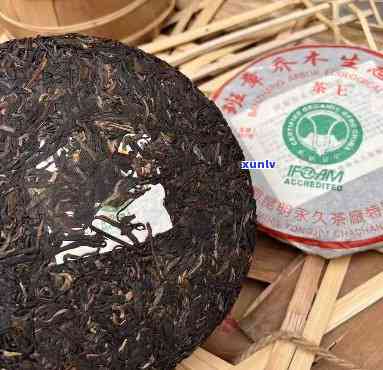 班章木青饼06年-班章木饼茶2008珍藏品