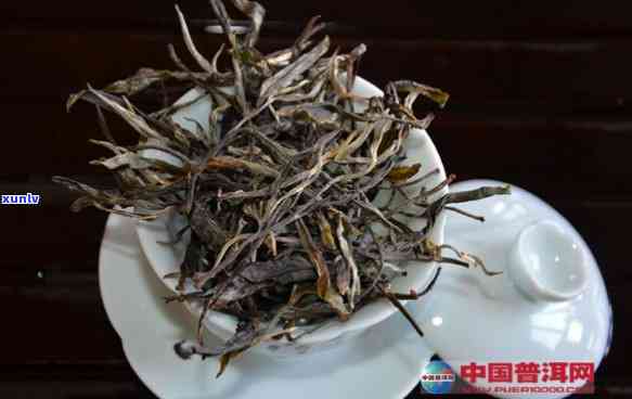 新班章古树茶有哪些特点，探秘新班章古树茶：独特特点解析