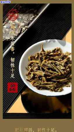 八角亭2004年班章木古树春茶，生态茶，2020新班章生态木，全名大揭秘！