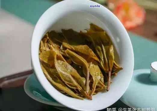 哪一款熟普洱茶