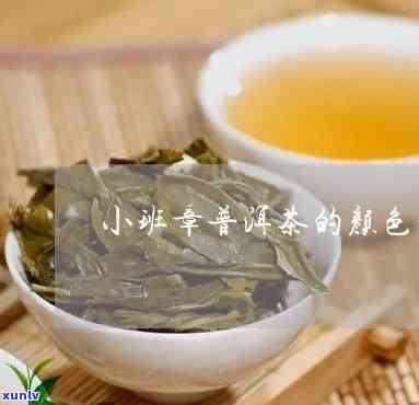 小班章茶是什么茶，解密茶叶世界：小班章茶是什么茶？