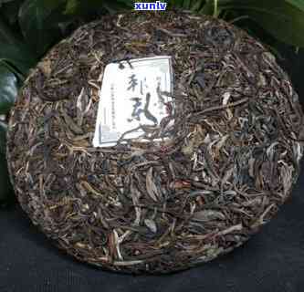 大班章生茶价格：2016年古树普洱茶，澜沧古茶出品，源自云南班章五寨，具体价格请咨询官方渠道