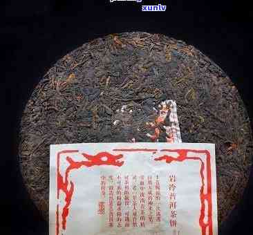 大班章生茶价格：2016年古树普洱茶，澜沧古茶出品，源自云南班章五寨，具体价格请咨询官方渠道